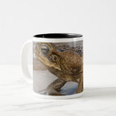 Cane Toad Rhinella marina, voorheen Bufo Tweekleurige Koffiemok (Voorkant links)