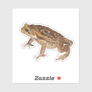 Cane Toad Sticker