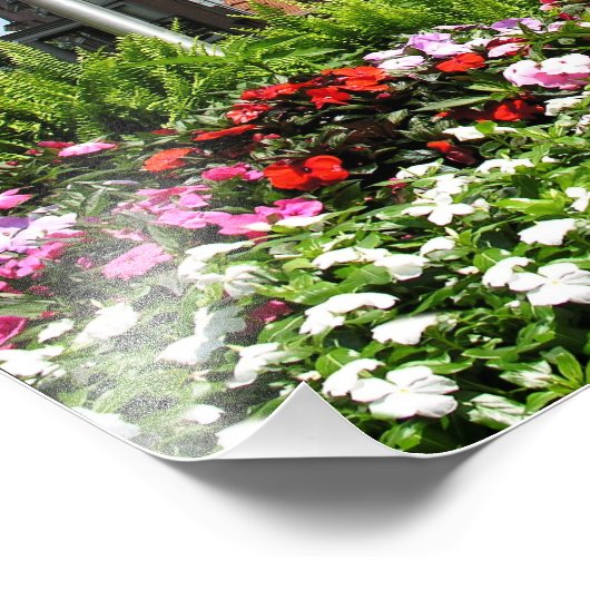 Canfield Casino Foto Afdruk (Hoek)