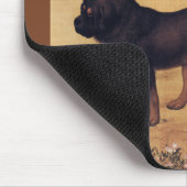 Cangni 苍 猊 ~ Tibetan Mastiff ~ Giuseppe Castiglion Muismat (Hoek)