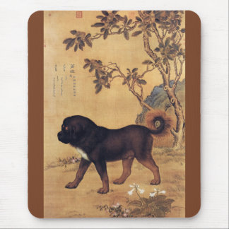 Cangni 苍 猊 ~ Tibetan Mastiff ~ Giuseppe Castiglion Muismat