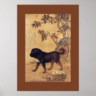 Cangni 苍 猊 ~ Tibetan Mastiff ~ Giuseppe Castiglion Poster
