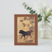 Cangni 苍 猊 ~ Tibetan Mastiff ~Giuseppe Castiglione Briefkaart (Staand voorkant)
