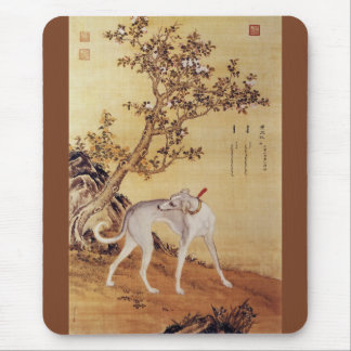 Cangshuiqiu 苍 水 虬 ~ Greyhound ~Giuseppe Castiglion Muismat