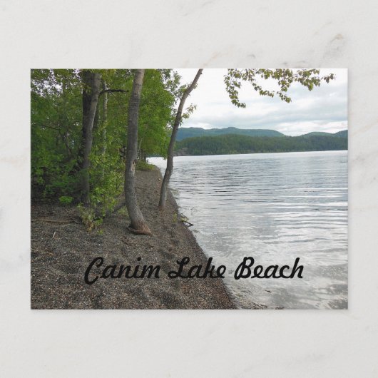 Canim Lake Beach Briefkaart (Voorkant)
