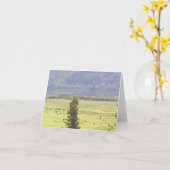 Canim Lake Cattle Note Kaart (Gele Bloem)