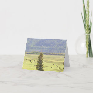 Canim Lake Cattle Note Kaart