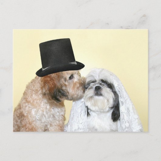 Canine Bride en Groom Briefkaart (Voorkant)
