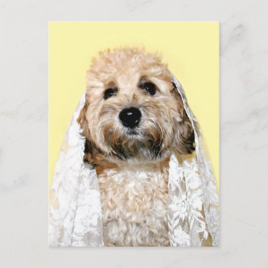 Canine bride of bridesmaid briefkaart (Voorkant)