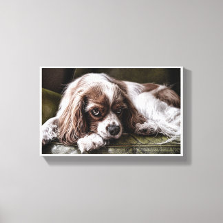 Canine Canvas Afdruk