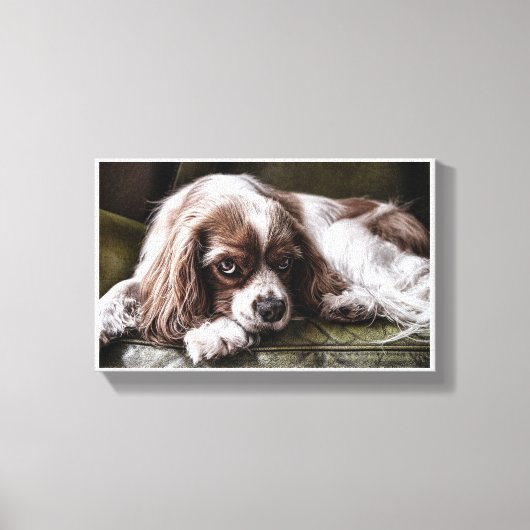 Canine Canvas Afdruk (Voorkant)