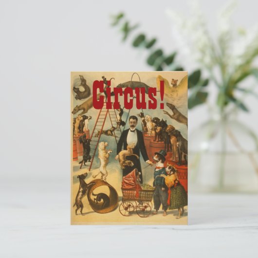 Canine Circus - Briefkaart #2 (Staand voorkant)
