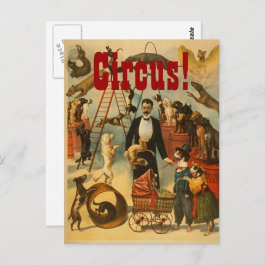 Canine Circus - Briefkaart #2 (Voorkant / Achterkant)