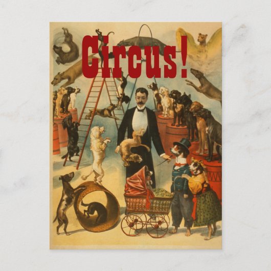 Canine Circus - Briefkaart #2 (Voorkant)