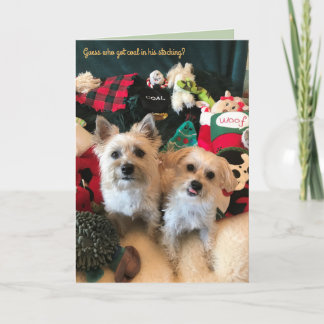 Canine Coal Collector Christmas Kaart