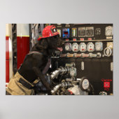 Canine Fire Department Poster (Voorkant)