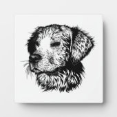 Canine Head schets Fotoplaat (Voorkant)