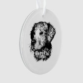 Canine Head schets Ornament (voorkant)