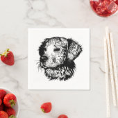 Canine Head schets Servet (Insitu)