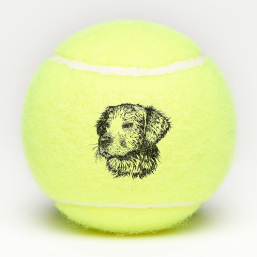 Canine Head schets Tennisballen (Achterkant)