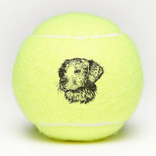 Canine Head schets Tennisballen (Voorkant)
