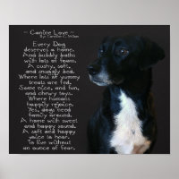 Canine Love