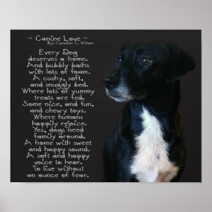 Canine Love Poster