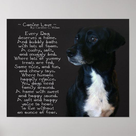 Canine Love Poster (Voorkant)