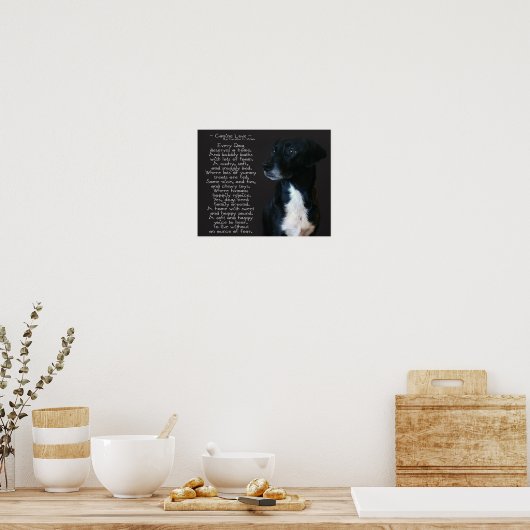 Canine Love Poster (Keuken)