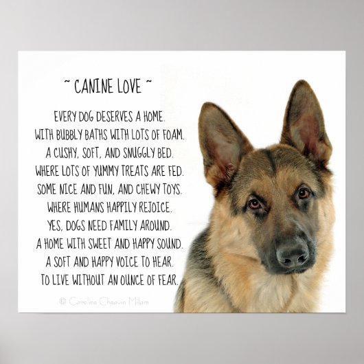 Canine Love Poster (Voorkant)