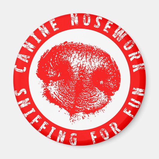 Canine neuswerk, Sniffen voor plezier Magneet (Voorkant)