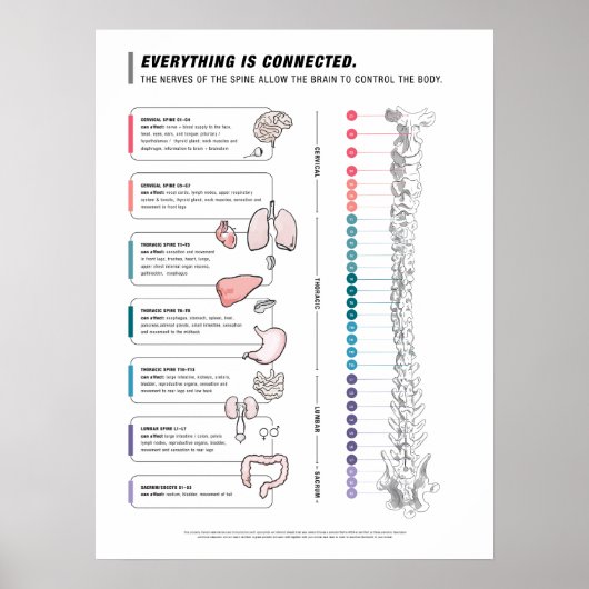 Canine Poster (Voorkant)