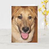 Canine Vet Afstuderen Gefeliciteerd met je Afstude Kaart (Gele Bloem)