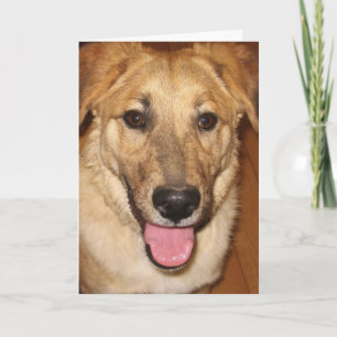 Canine Vet Afstuderen Gefeliciteerd met je Afstude Kaart