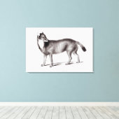 Canis Antarcticus Canvas Afdruk (Insitu (Houten vloer))