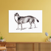 Canis Antarcticus Canvas Afdruk (Insitu (Woonkamer))
