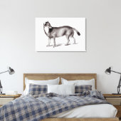 Canis Antarcticus Canvas Afdruk (Insitu (Slaapkamer))