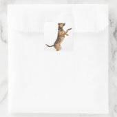 Canis familiaris 2 vierkante sticker (Tas)