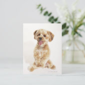 Canis familiaris briefkaart (Staand voorkant)