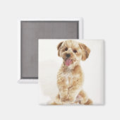 Canis familiaris magneet (Voorkant / Achterkant)