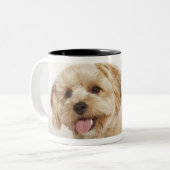 Canis familiaris tweekleurige koffiemok (Voorkant links)