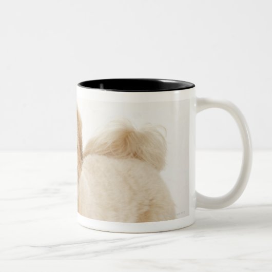 Canis familiaris tweekleurige koffiemok (Rechts)