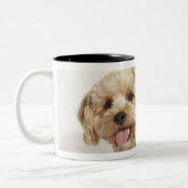 Canis familiaris tweekleurige koffiemok (Links)