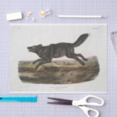 Canis lupus, Black American Wolf. Mannelijk. Vinta Tissuepapier (Craft)