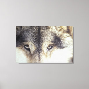 Canis Lupus Canvas Afdruk