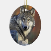 Canis_lupus_Grijze Wolf Kerst Ornament (Rechts)