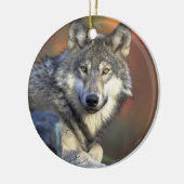 Canis_lupus_Grijze Wolf Kerst Ornament (Links)