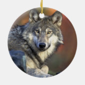 Canis_lupus_Grijze Wolf Kerst Ornament (Achterkant)