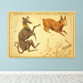 Canis Major Astronomical Star Chart Afbeelding Canvas Afdruk (Insitu (Houten vloer))