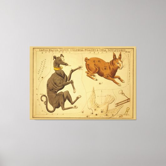 Canis Major Astronomical Star Chart Afbeelding Canvas Afdruk (Voorkant)
